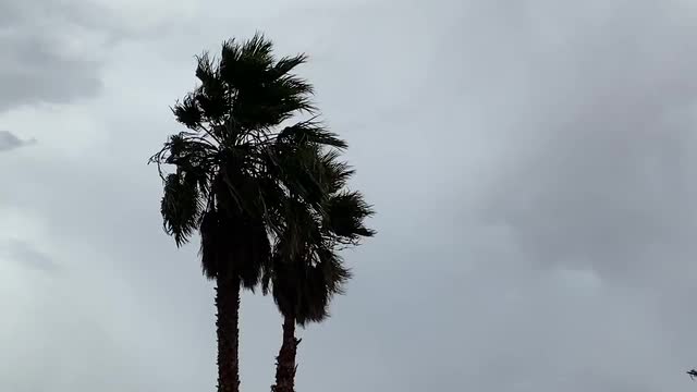 Las Vegas Review Journal News | Windy conditions in Las Vegas Valley
