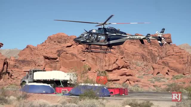 Las Vegas Review Journal News | BIGHORN GUZZLER; ‘Beyond rare: State drops water for bighorn