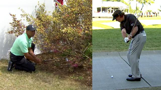 Tiger Woods and Phil Mickelson’s great escapes
