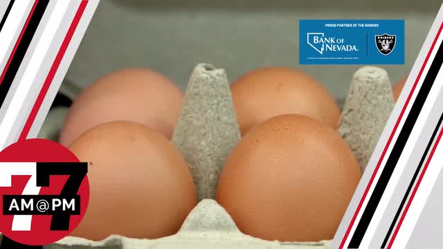 LVRJ Business 7@7 | Egg shortage to worsen, Cortez Masto takes aim at prices