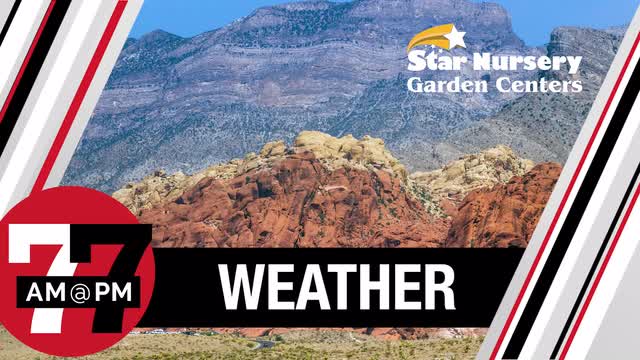 Las Vegas Review Journal News | Best photos of the Blue Supermoon