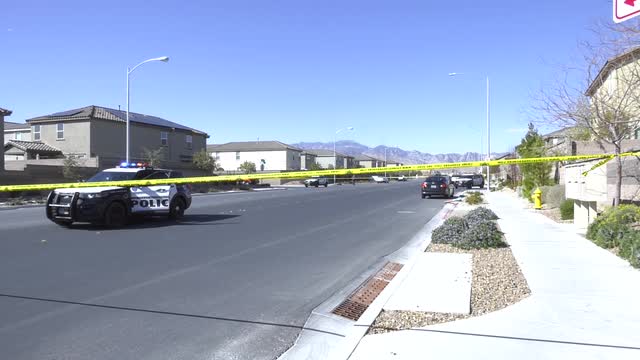 Las Vegas Review Journal News | Las Vegas police investigating apparent murder-suicide