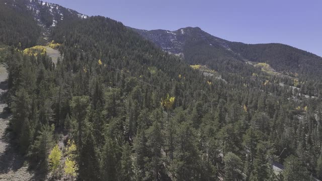 Las Vegas Review Journal News | Ponderosa Chairlift at Lee Canyon