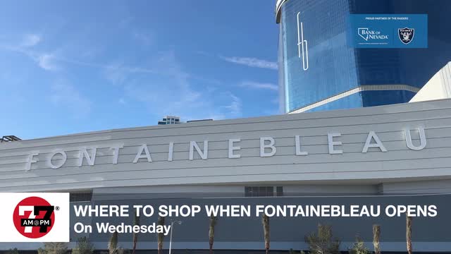 LVRJ Business 7@7 | Where to shop when Fontainebleau opens