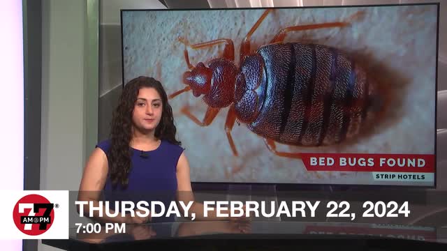 LVRJ Business 7@7 | Bed Bugs found in Strip hotels