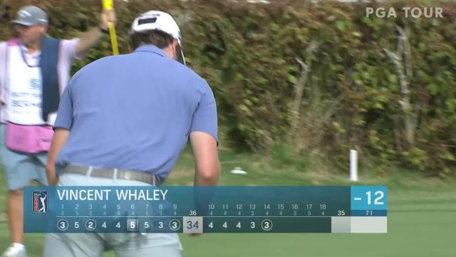 PGA TOUR | Vincent Whaley makes birdie on No. 14 in Round 3 at Bermuda
