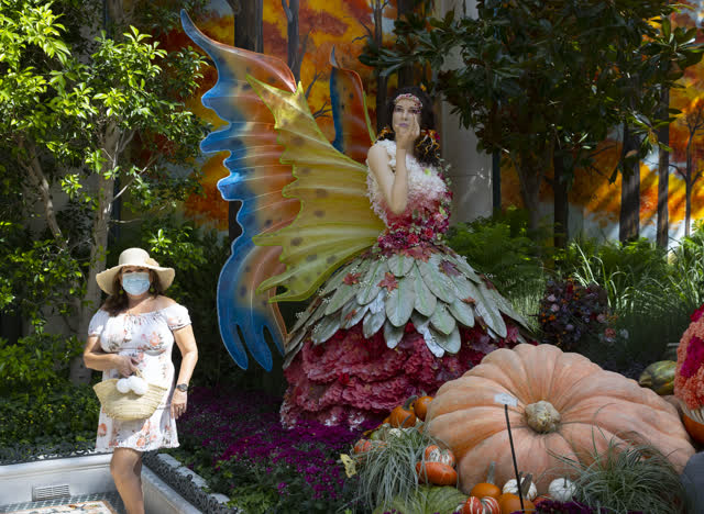 Las Vegas Review Journal | The new fall Bellagio Conservatory display