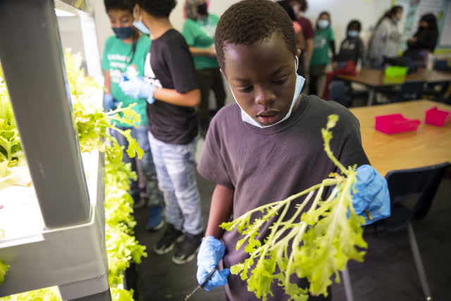 Las Vegas Review Journal News | Green Our Planet brings valuable lessons to the classroom