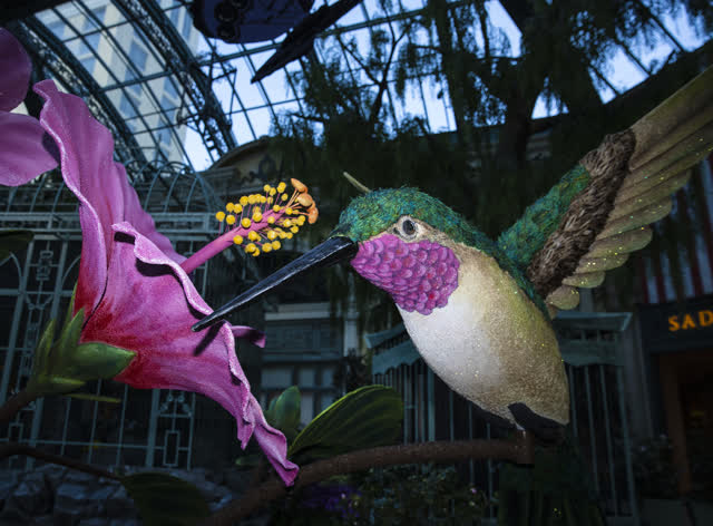 Las Vegas Review Journal News | The Bellagio Conservatory will debut its spring display