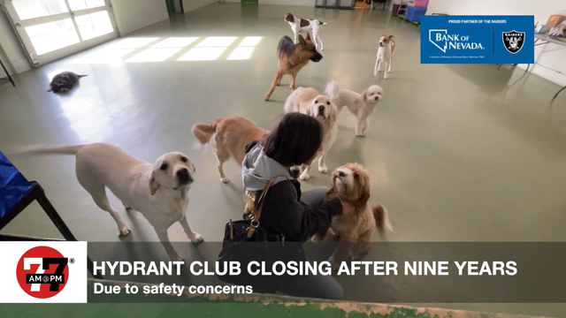LVRJ Business 7@7 | Downtown dog club closing doors, citing safety concerns