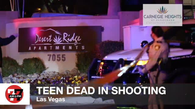 Las Vegas Review Journal News | 1 teen dead, 1 critically injured in northeast shooting