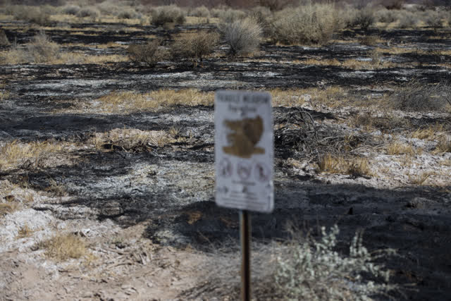 Las Vegas Review Journal News | Fire burns a quarter of Clark County Wetlands Park