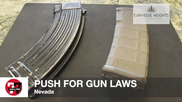 Las Vegas Review Journal News | Group pushes for more gun restrictions in Nevada