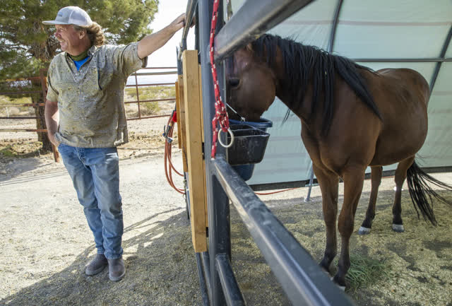 Las Vegas Review Journal News | Charity’s race to build horse sanctuary