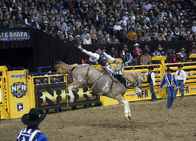 Las Vegas Review Journal Sports | NFR Day 7: Chase Brooks