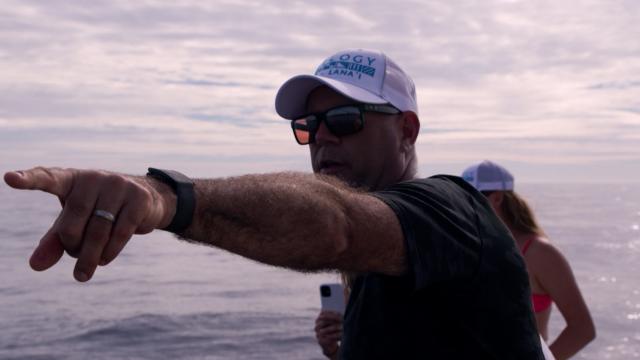 PGA TOUR | Stewart Cink and family go whale watching in Hawaii