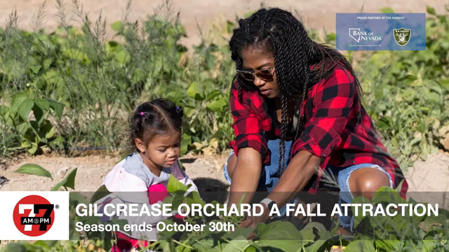 LVRJ Business 7@7 | Better hurry: Gilcrease Orchard readies to end fall season
