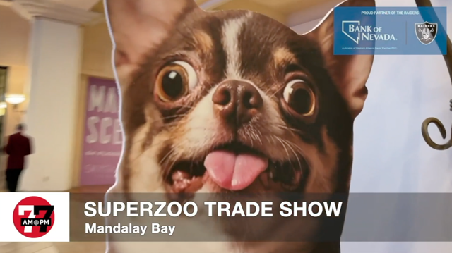 LVRJ Business 7@7 | Pampering pets is big business at SuperZoo trade show