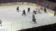 Highlights: San Diego Gulls